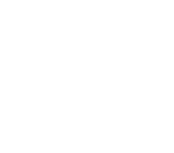 B&D Land Investments
