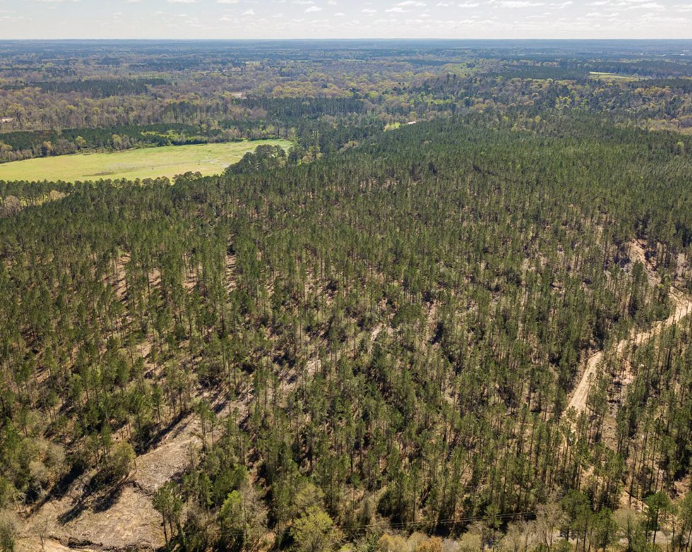 Aerial view of the Timothy Road property in Jones County, Mississippi